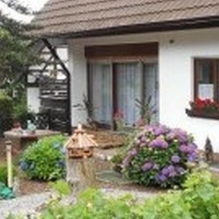 Pension Haus Monika Sasbachwalden Exteriör bild